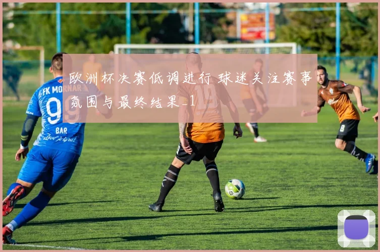 欧洲杯决赛低调进行 球迷关注赛事氛围与最终结果_1