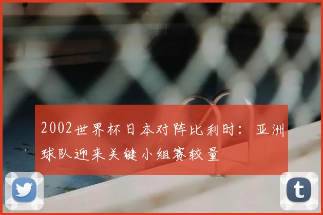 2002世界杯日本对阵比利时：亚洲球队迎来关键小组赛较量