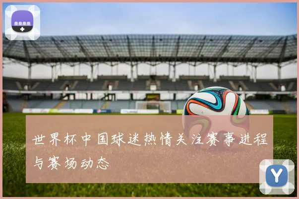 世界杯中国球迷热情关注赛事进程与赛场动态
