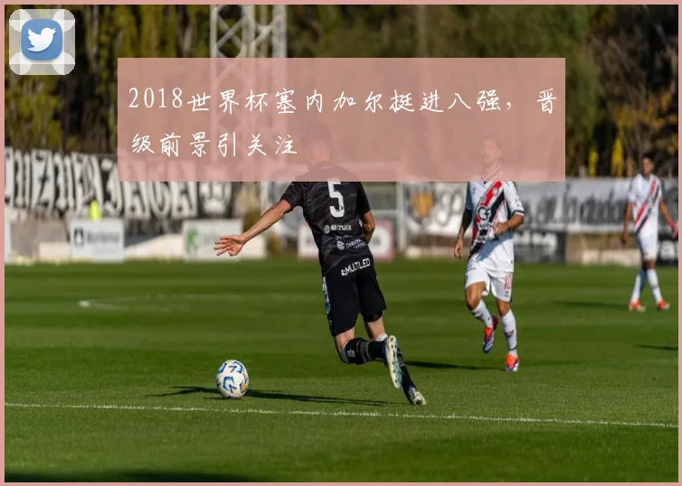 2018世界杯塞内加尔挺进八强，晋级前景引关注