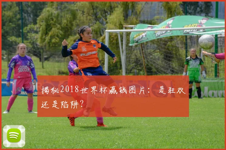 揭秘2018世界杯赢钱图片:是狂欢还是陷阱?
