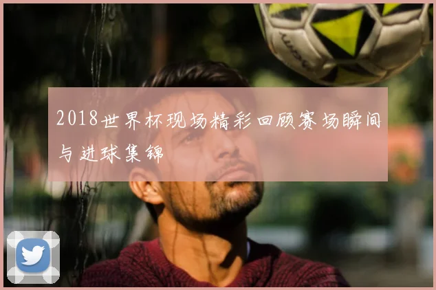 2018世界杯现场精彩回顾赛场瞬间与进球集锦