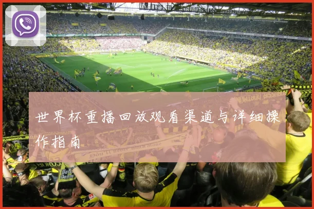世界杯重播回放观看渠道与详细操作指南
