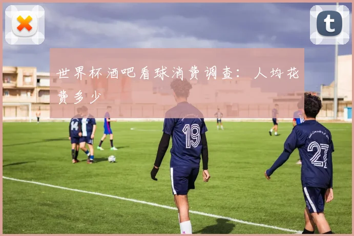 世界杯酒吧看球消费调查:人均花费多少